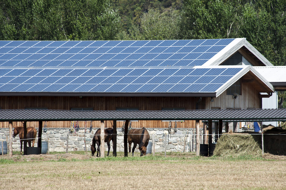 Un centre équestre Green avec des panneaux photovoltaïques : une solution intéressante